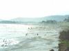Arauco - Nach einem Sturm ist der Strand berst mit Muscheln