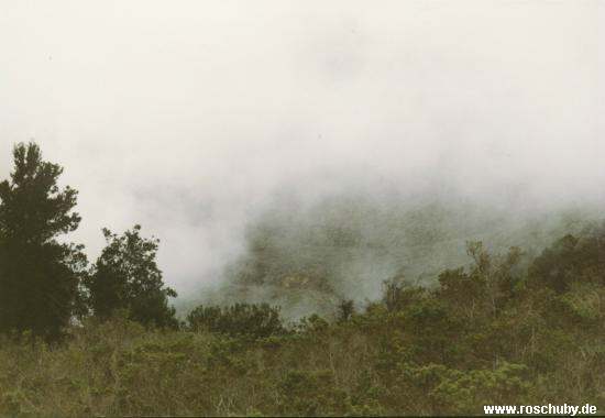 Parque Nacional Fray Jorge