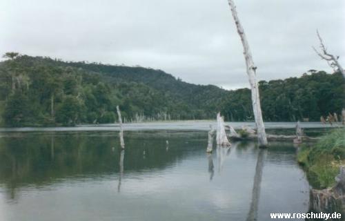 Parque Nacional Conguillio