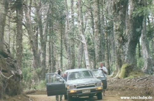 Parque Nacional Conguillio