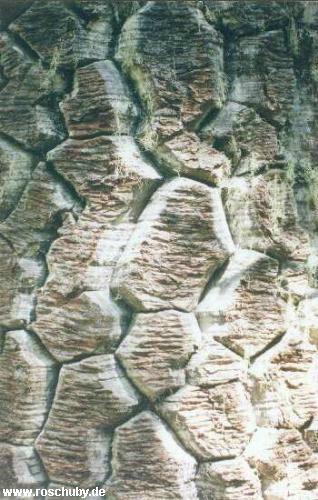 Parque Nacional Nahuelbuta
