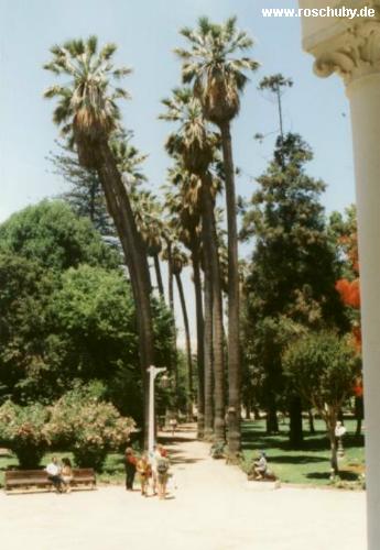 Vi�a del Mar