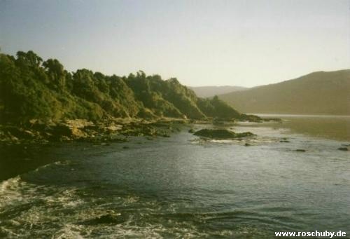 Valdivia