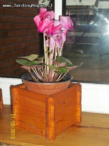 Porta Macetero rstico en madera reciclada de Pino. Construido con uniones de madera para el uso interior y exterior, piso incrustado para dar una mejor resistencia. Con proteccin en el color Cedro contra la humedad. Este producto se puede usar para Plantas como por ejemplo, para Flores, Cactus y/o otros. Por su forma y diseo se adapta a diferentes ambientes.