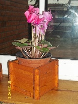 Producto de Jardin&Hogarporta_macetero_160_160_120_4