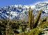 Privates Naturreservat - Hacienda los Andes:<br><br>Naturbezogene Gste knnen die Natur selbst und eigenstndig erkunden. Unser privates 500 ha Naturreservat bietet einen Naturlehrpfad, der gut markiert ist und viele schne Rastpltze hat. <br><br>Copyright by Clark Stede nach dem Urhebergesetzt